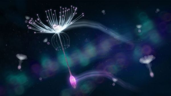 _26012016_075227_esc2016-artwork-flyers-jpg